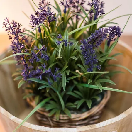 Vera Lilli شقة فندقية